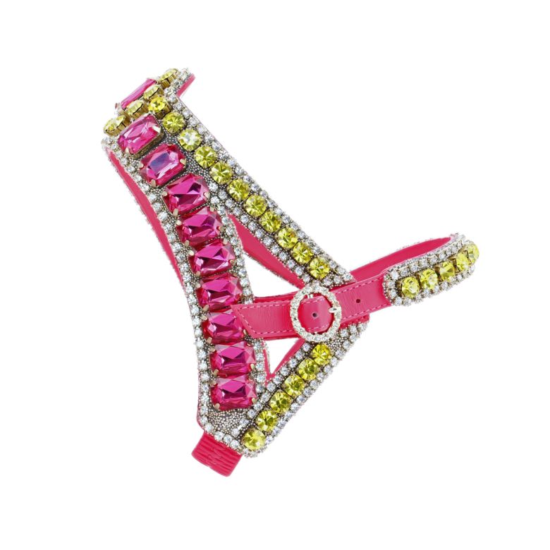 Click to view more detailed imagery on our partner's website Sophia Webster Shoellery Crystal Harness