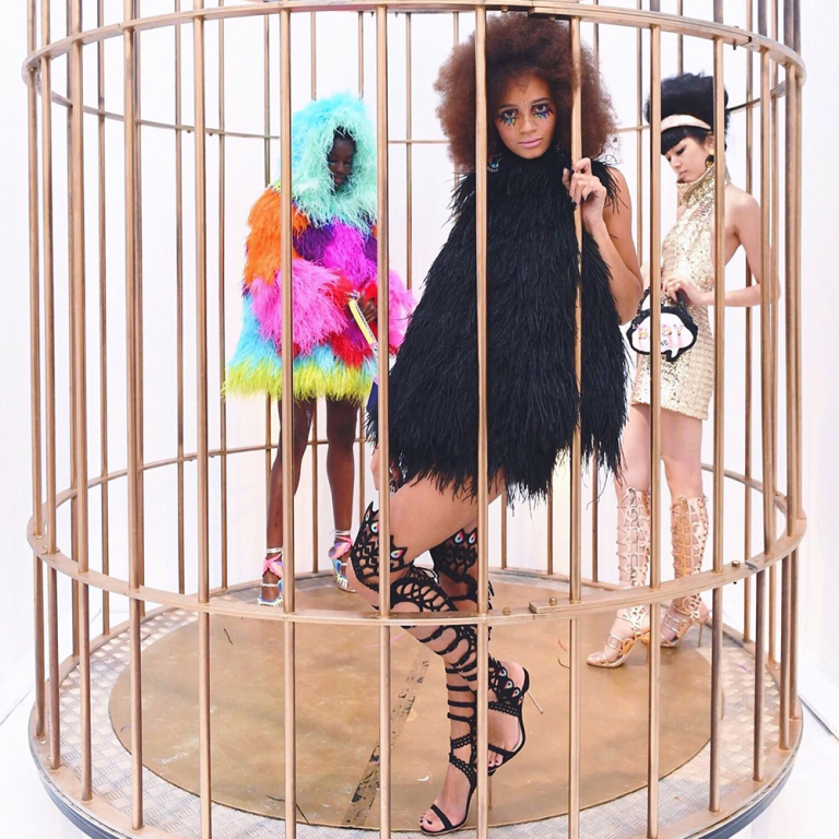 Behind The Scenes Dolly Birds of Paradise SS17 Collection